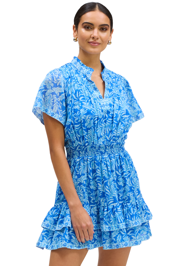 CLARA DRESS