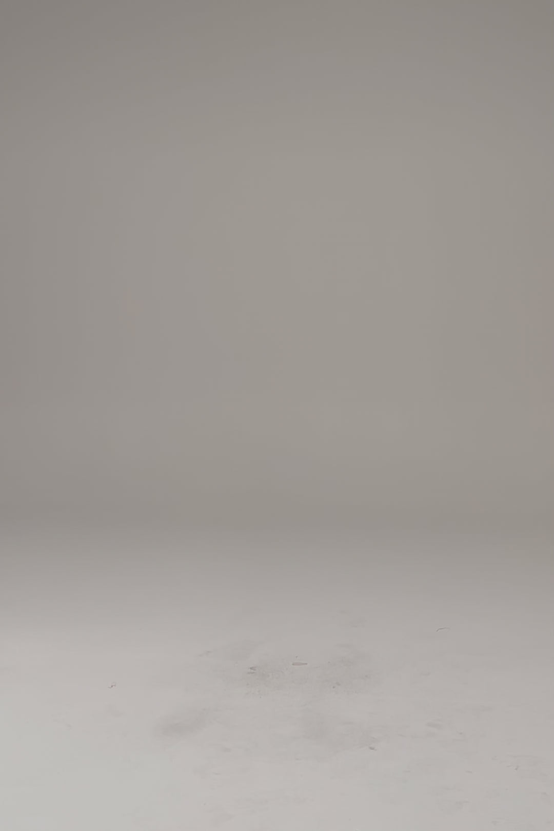ELENA SKIRT